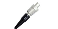 049916-lemo