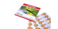 065506_stickies