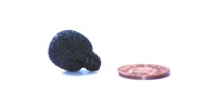105526_neoprene_coated_mini_lavalier_foam