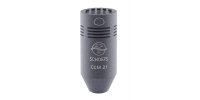 ccm21