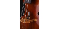 contrabass