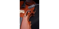 violin