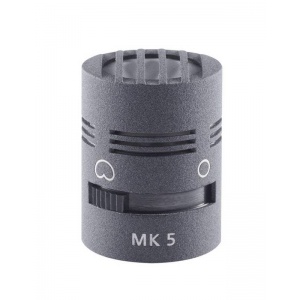 mk5g_niere