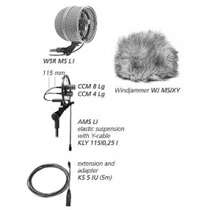 ms-stereo-set