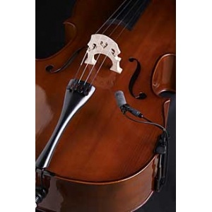 violoncello