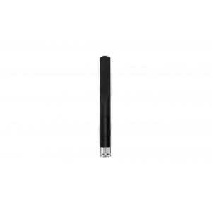 xl-ant2_4_1-scaled