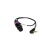 plag-in-s-1024x426_1556515043